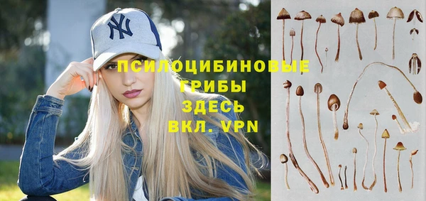 стафф Горно-Алтайск