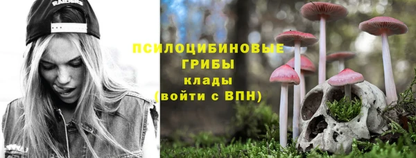 mdma Горняк